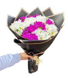 Beyaz Papatyalar ve H�sn�yusuflar