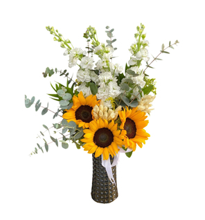 Siyah Vazoda G�nebakanlar