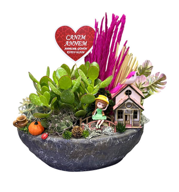 Can�m Annem Terrarium