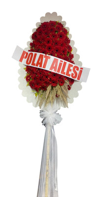 D���n A��l�� �elengi