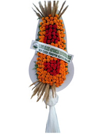 D���n �elengi